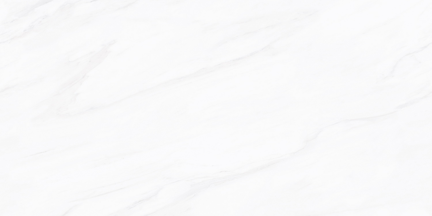 伟德BETVLCTOR1946始于英国(中国游)·官网