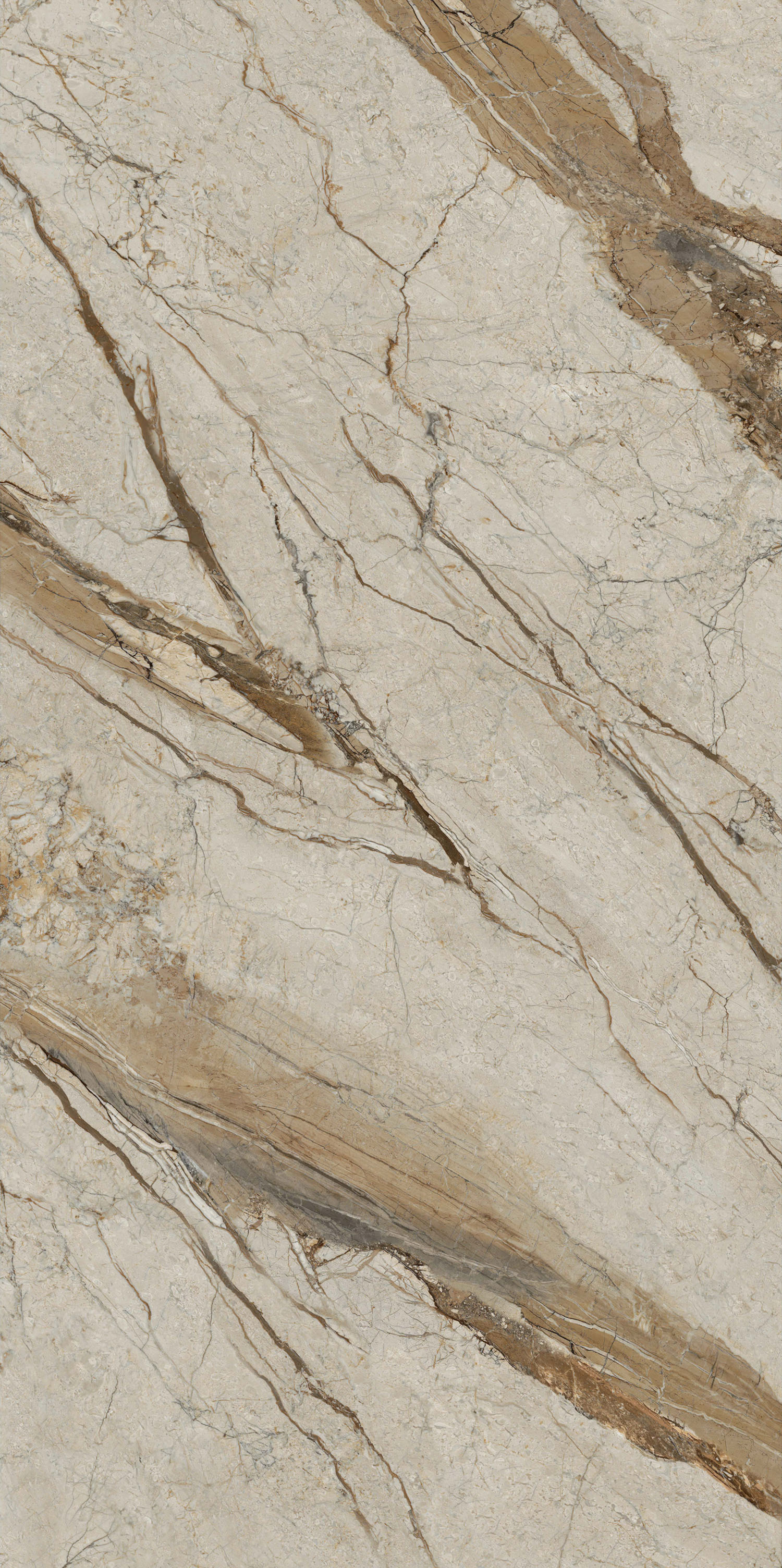 伟德BETVLCTOR1946始于英国(中国游)·官网