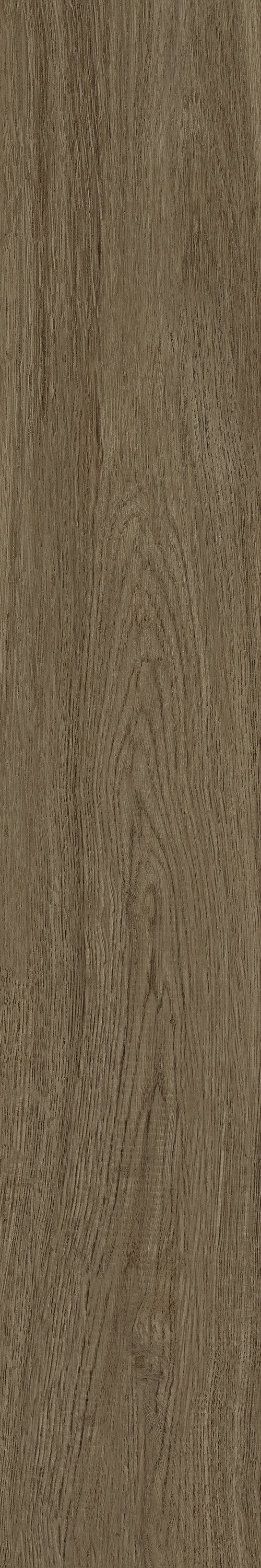 伟德BETVLCTOR1946始于英国(中国游)·官网