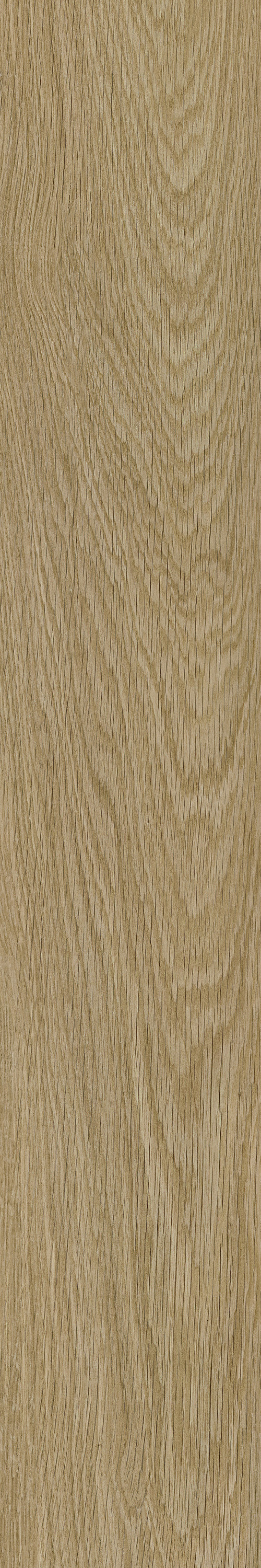 伟德BETVLCTOR1946始于英国(中国游)·官网