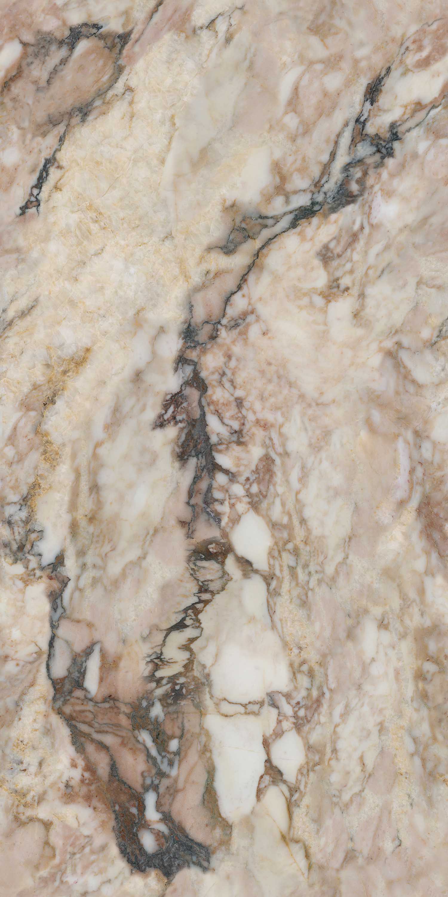 伟德BETVLCTOR1946始于英国(中国游)·官网