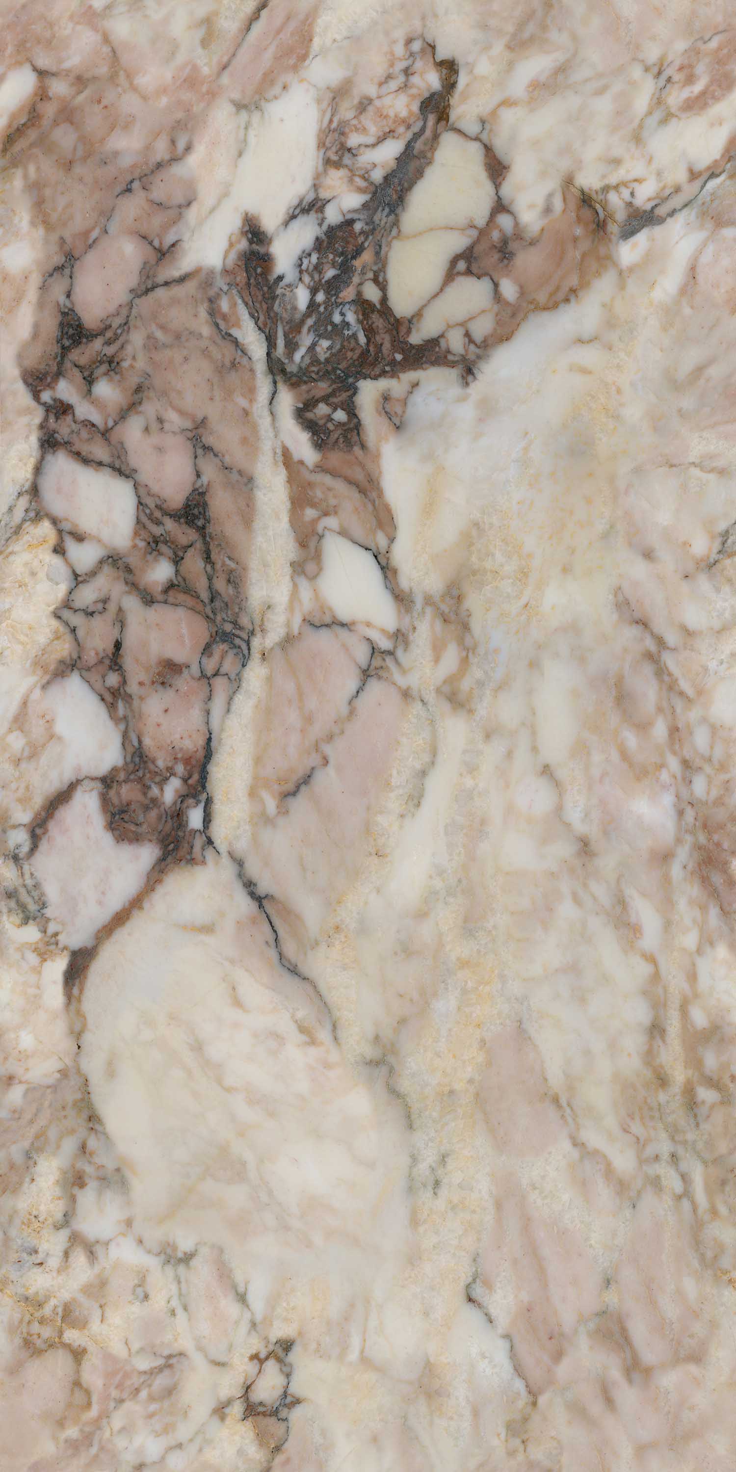 伟德BETVLCTOR1946始于英国(中国游)·官网