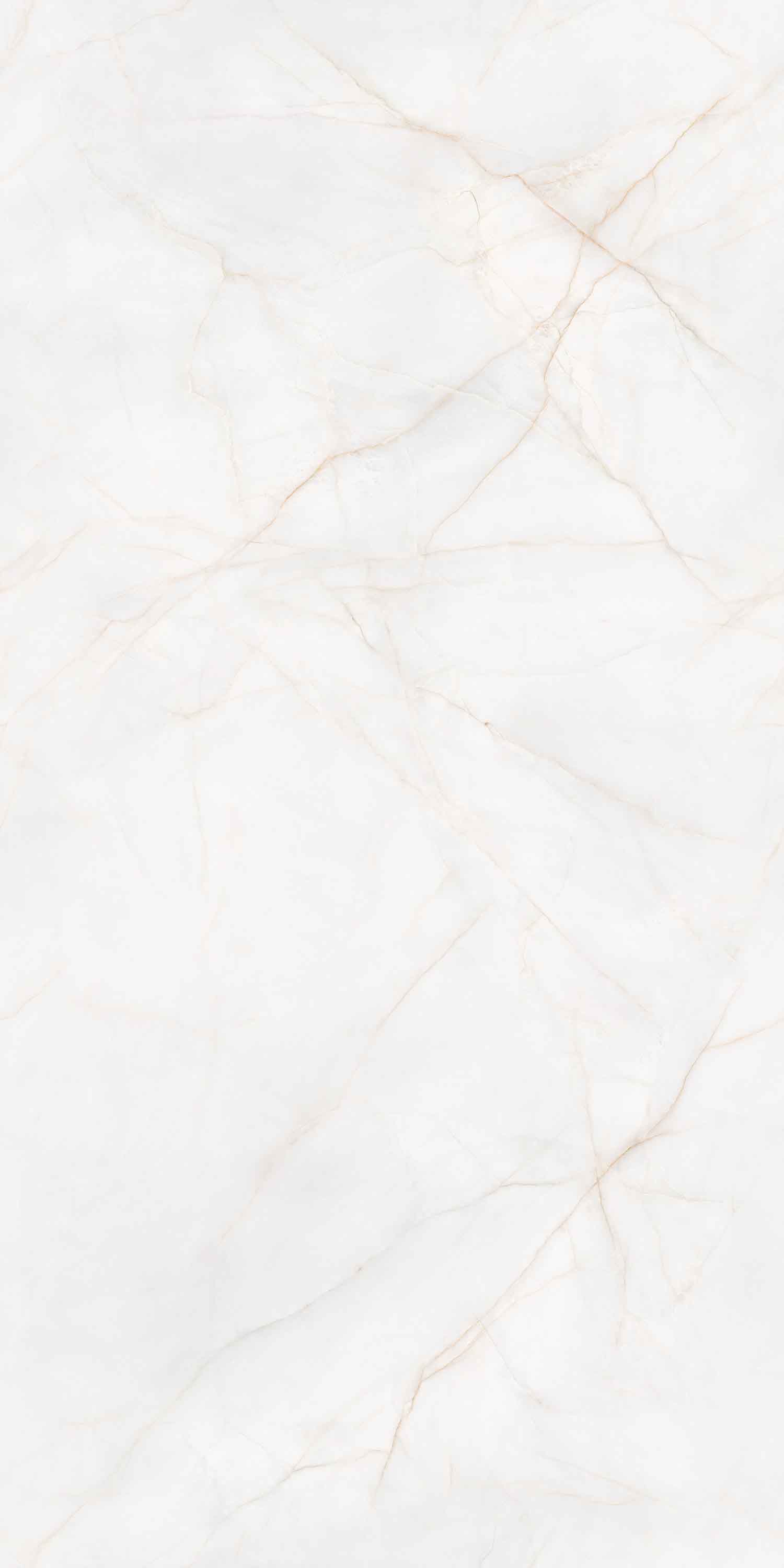 伟德BETVLCTOR1946始于英国(中国游)·官网