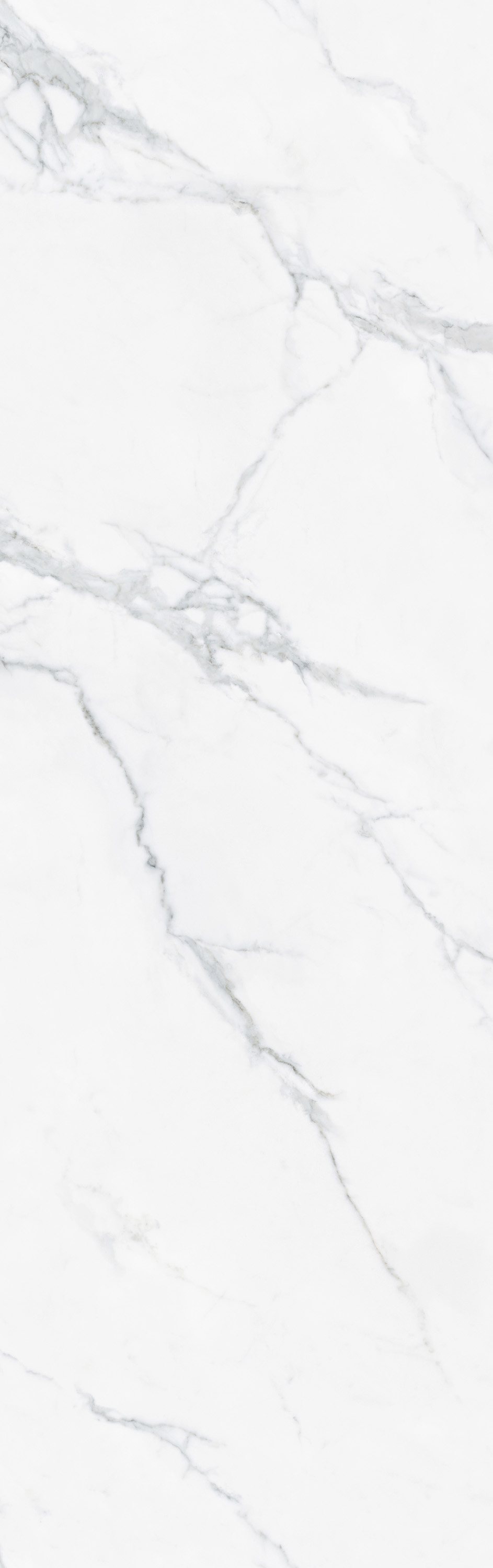 伟德BETVLCTOR1946始于英国(中国游)·官网