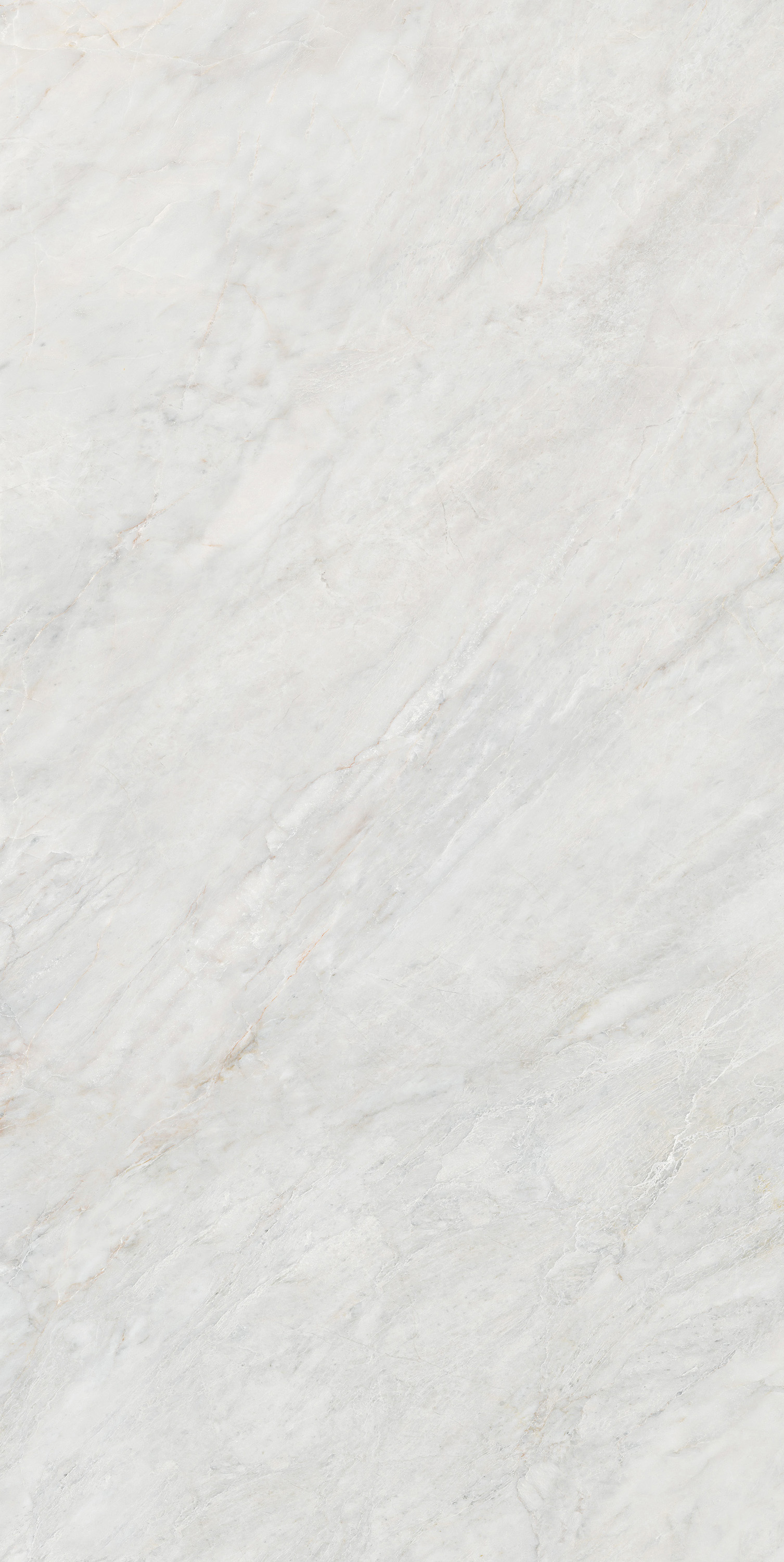 伟德BETVLCTOR1946始于英国(中国游)·官网