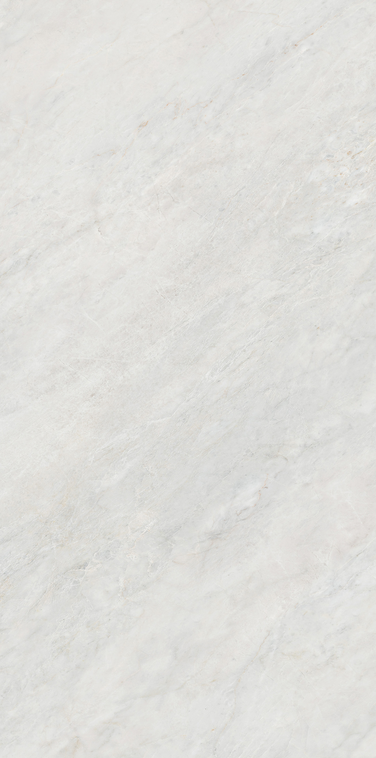 伟德BETVLCTOR1946始于英国(中国游)·官网