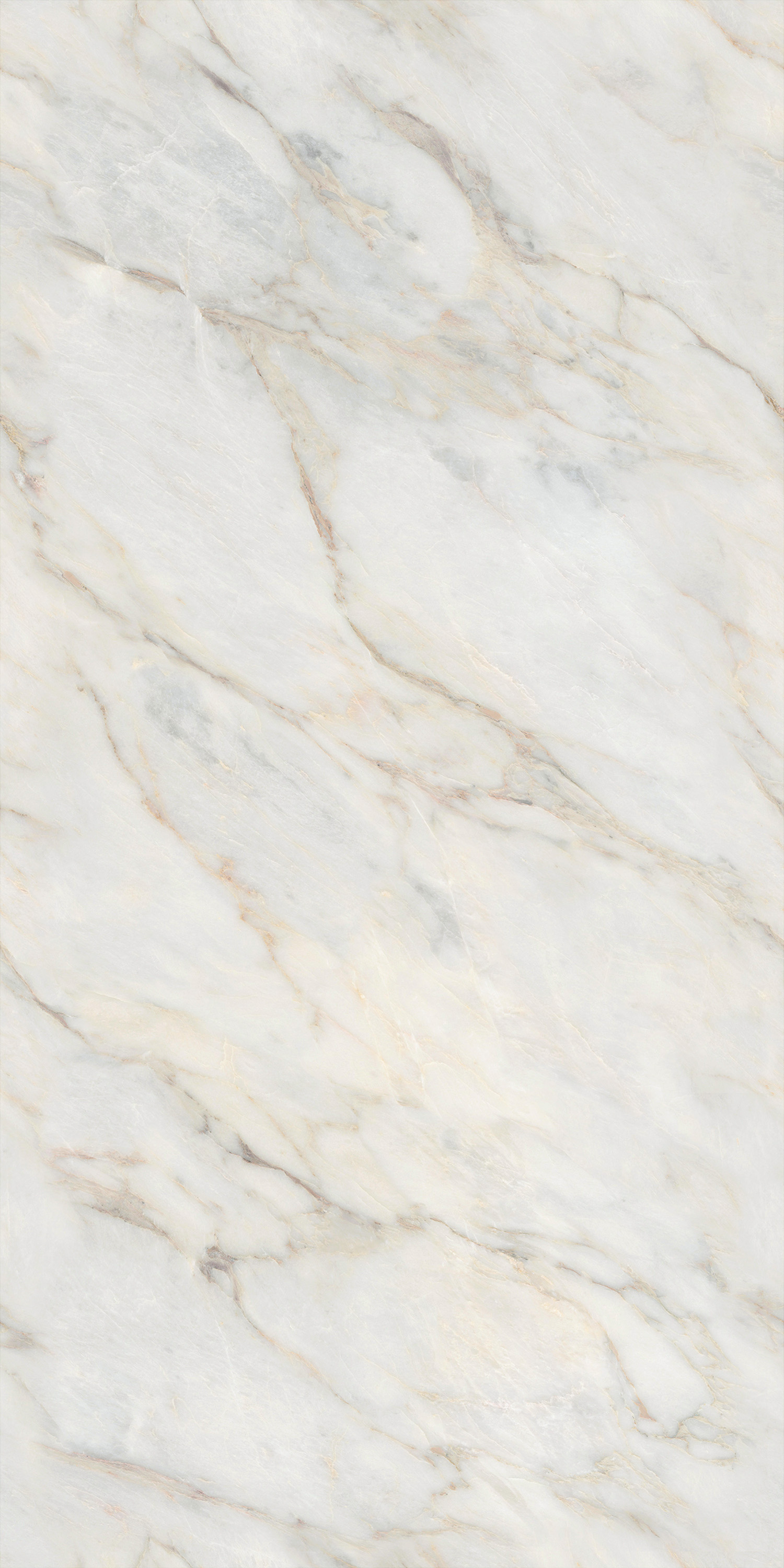 伟德BETVLCTOR1946始于英国(中国游)·官网