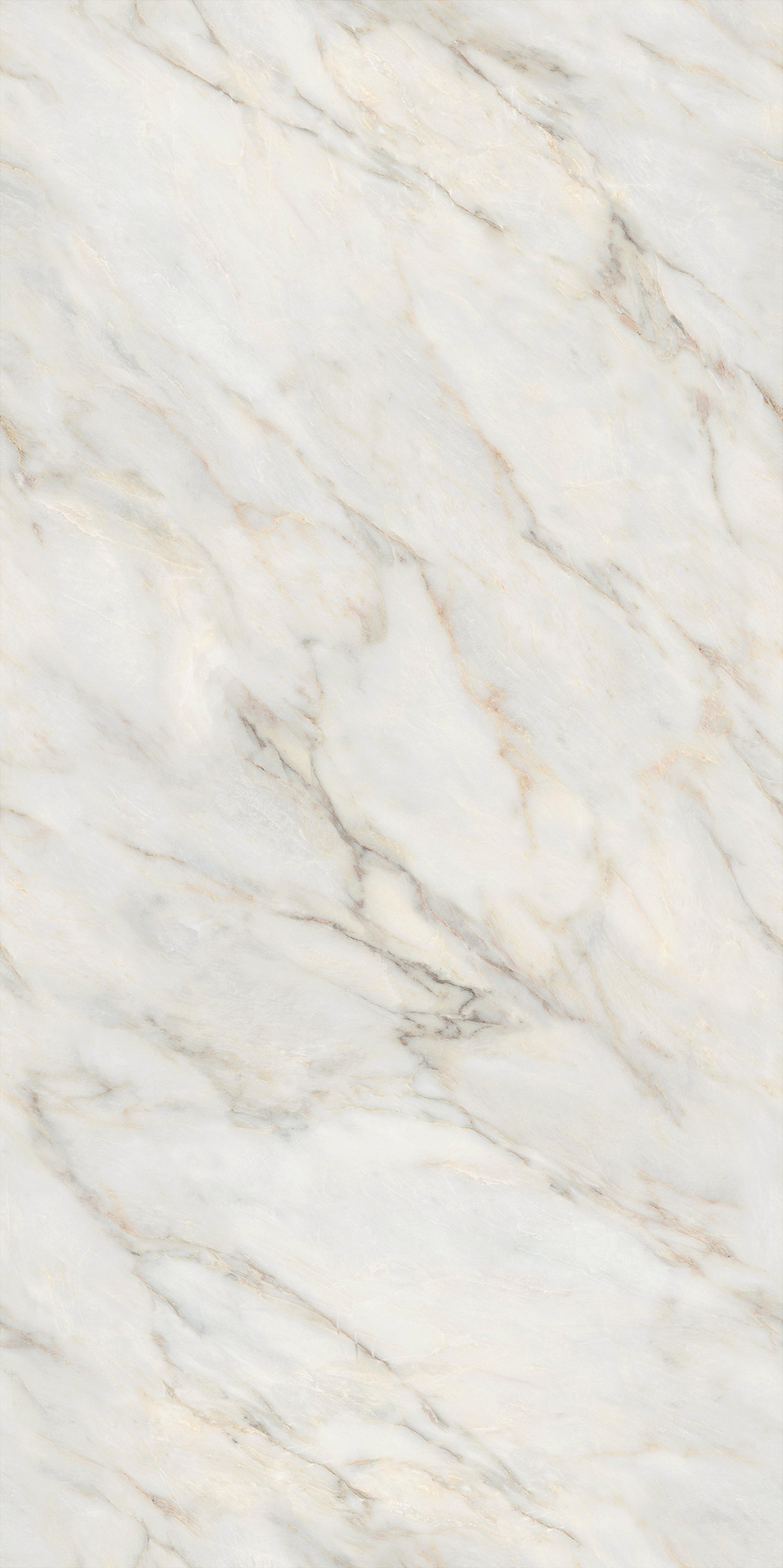 伟德BETVLCTOR1946始于英国(中国游)·官网