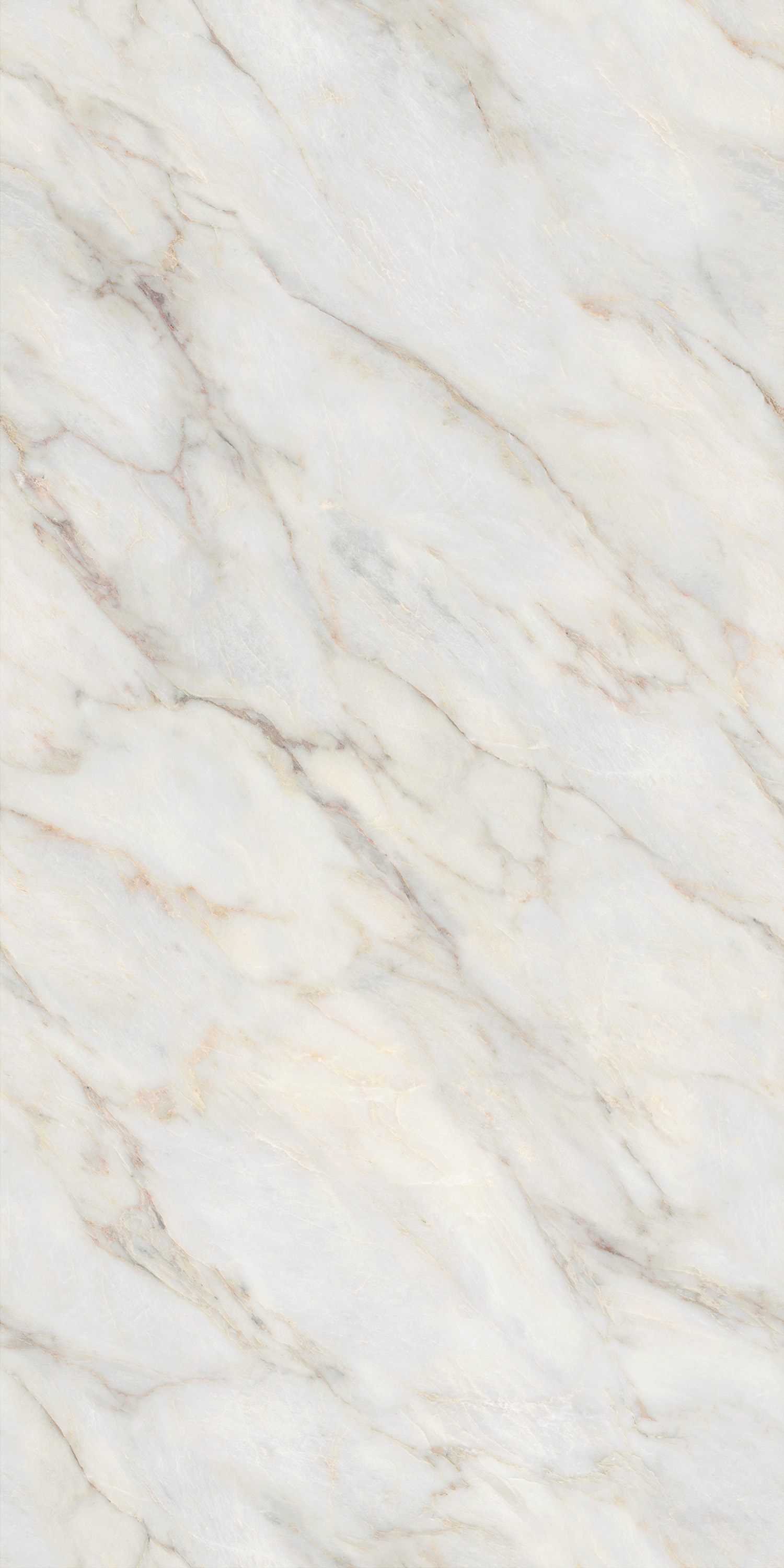 伟德BETVLCTOR1946始于英国(中国游)·官网